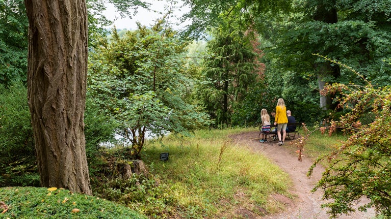 A family walking around a meandering path which is edged with autumnal looking hedgerows